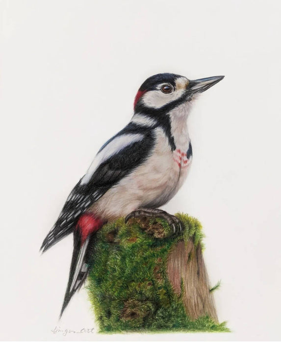 Art print-woodpecker on stump