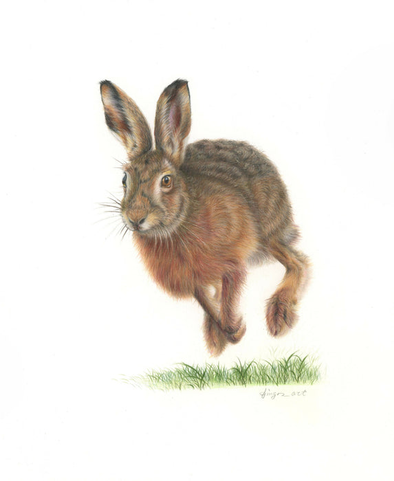 Greeting card - Rabbit