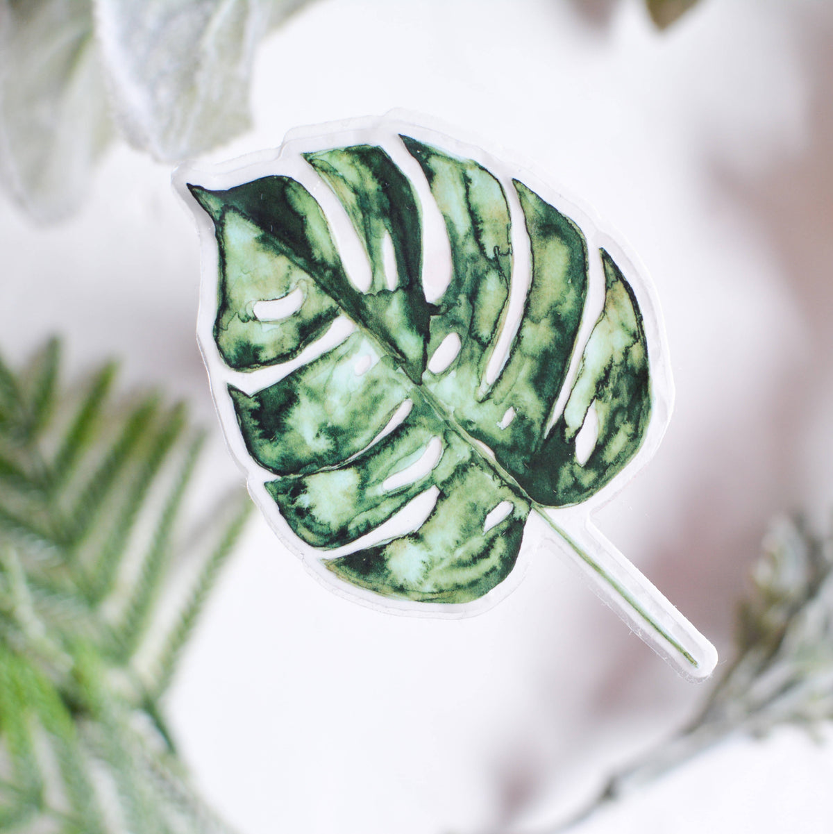 CLEAR Plant Sticker | Botanical | Vinyl | Boho Decor | Waterproof ...