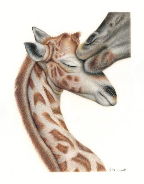 Art print - Giraffe