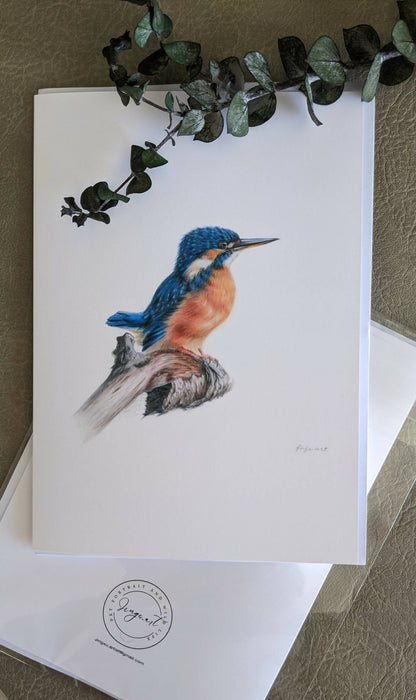 Greeting Card - kingfisher